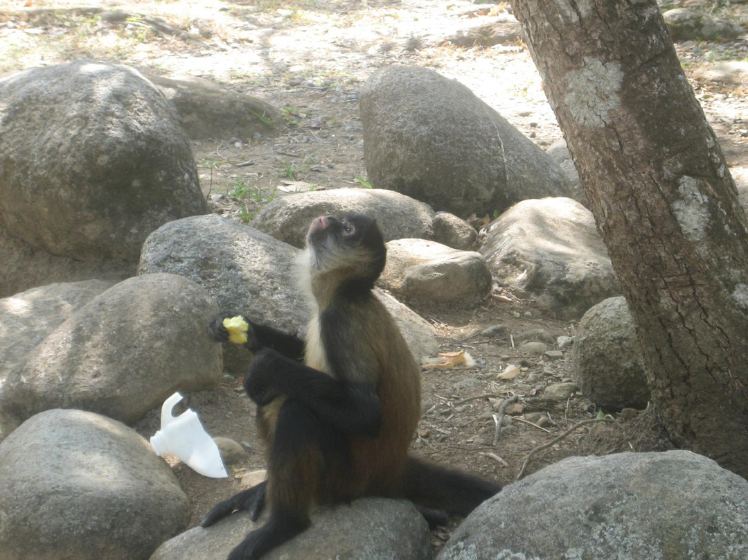 Explora Ya Eco-Tours & Adventure Travel Day Trips景点图片