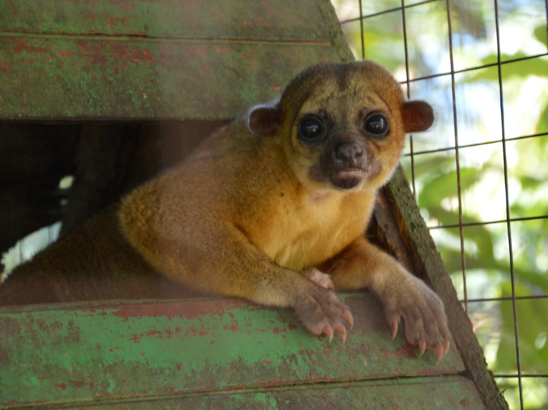 La Selva Wildlife Refuge景点图片