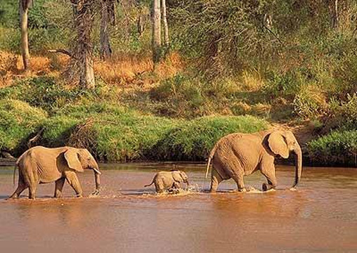 Afrika Sights and Adventures-蒙巴萨必去景点