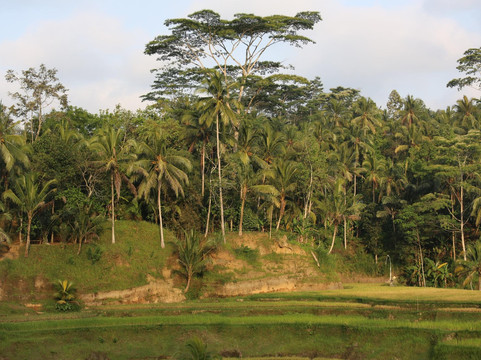 Bali Explore Tours-登巴萨必去景点