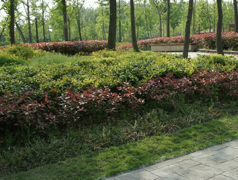 黄兴公园-上海市必去景点