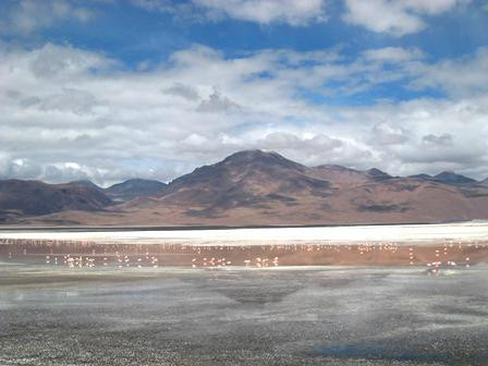 Laguna Colorada-波托西城必去景点