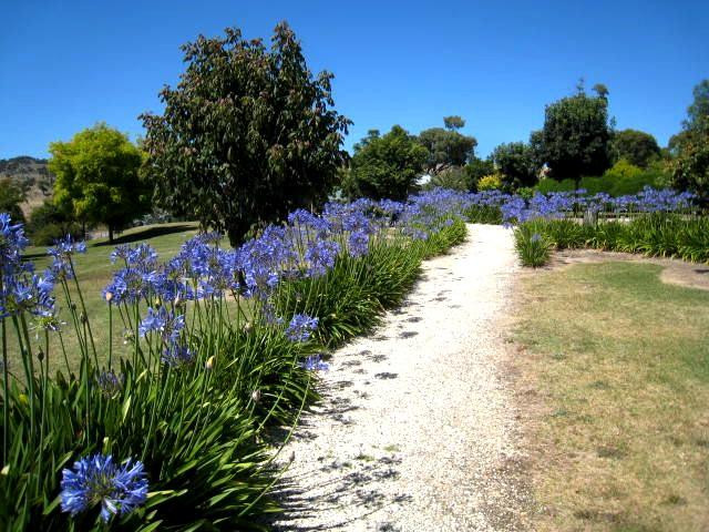 Avenel Maze-Avenel必去景点