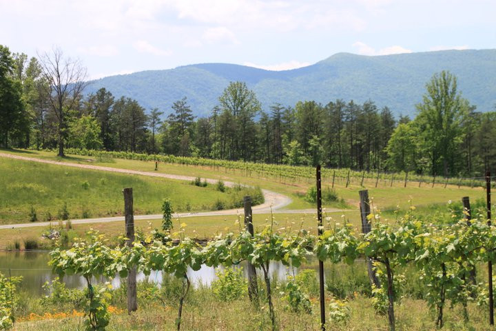 Mountfair Vineyards景点图片