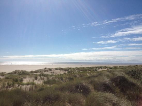 Pembrey Country Park & Beach景点图片