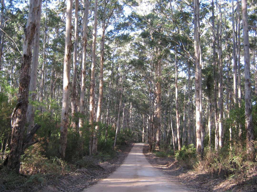 Forest Grove旅游攻略图片