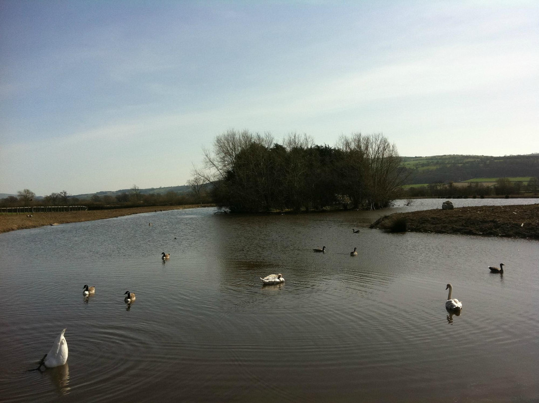 Harry Tuffins Country Park景点图片