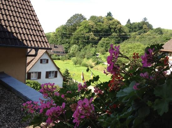 萨尔曼兰德酒店主图