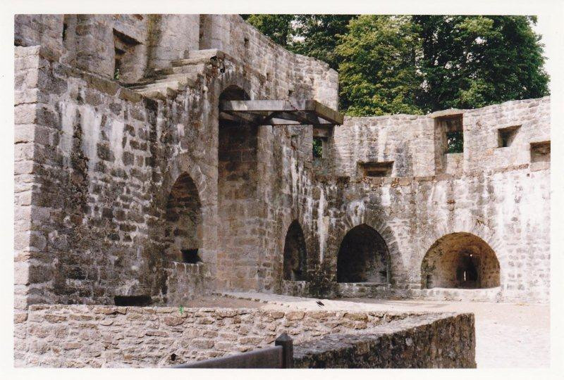 Chateau de Clisson景点图片