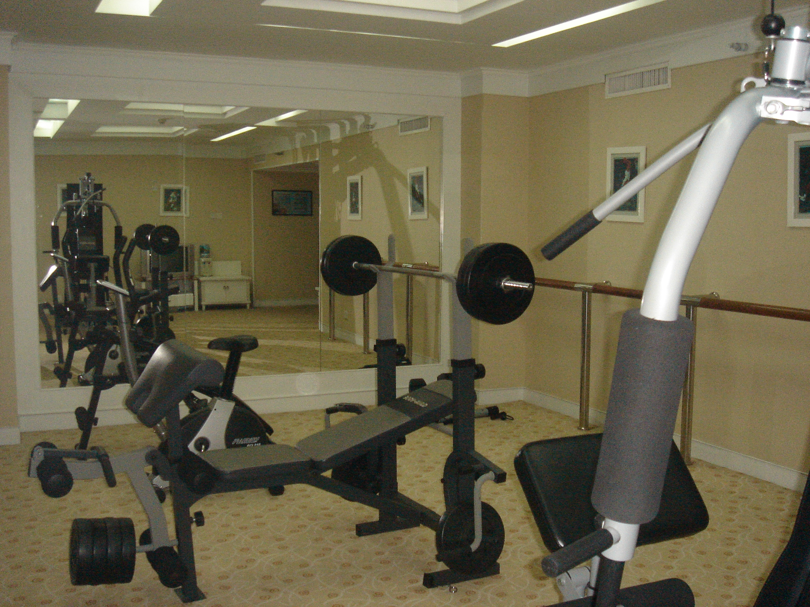 千禧龙大酒店-官方