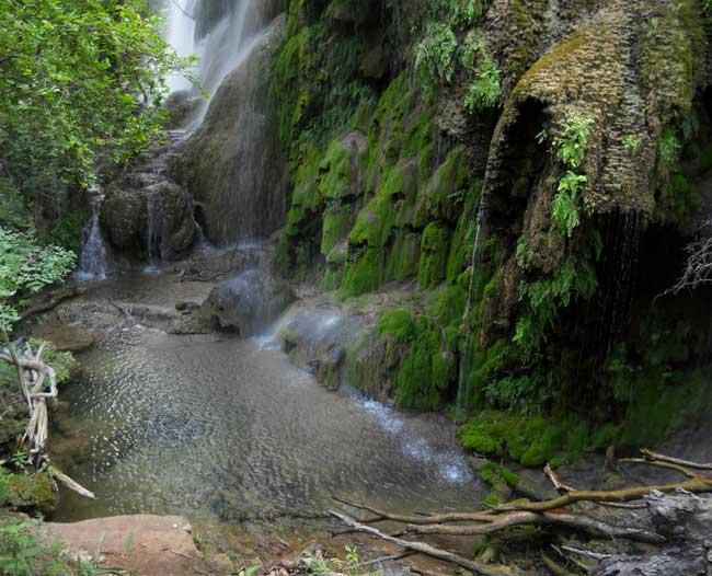 Gorman Falls景点图片