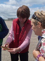 Seashore Tours Day Tours景点图片