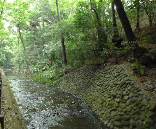世田谷区景点图片