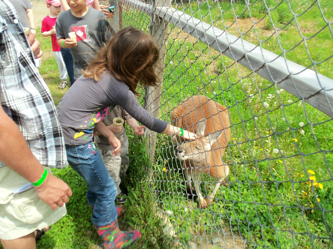 Saunders Country Critters Zoo-North Grenville必去景点