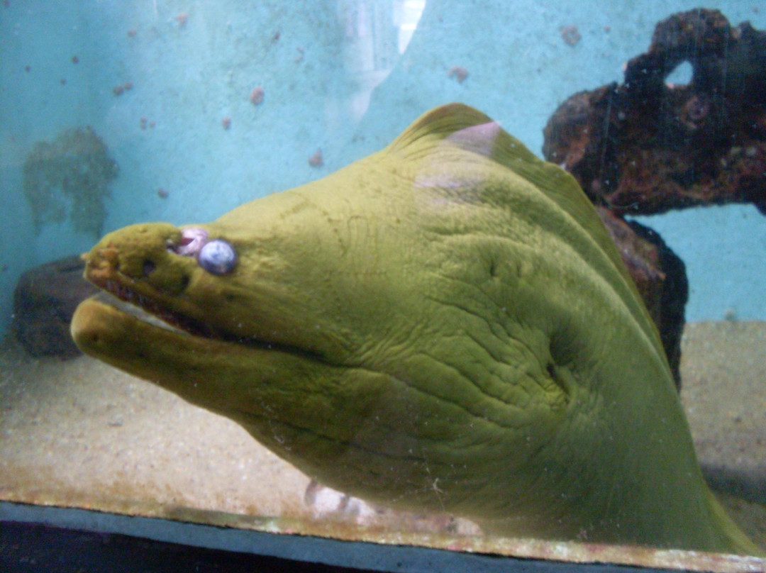 Aquário Natal-Extremoz必去景点