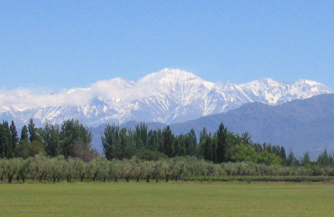 Conalbi Grinberg Casa Vinicola-Maipu必去景点