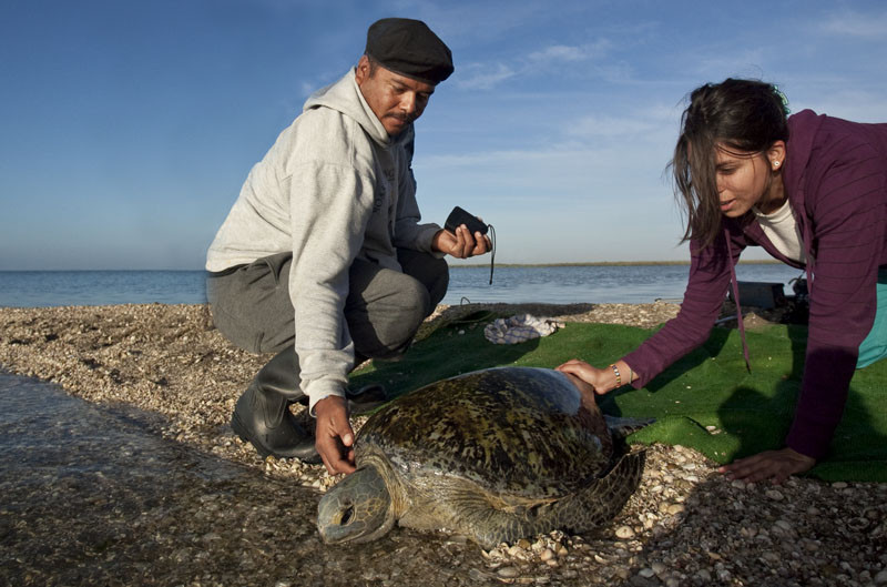 Red Travel México-拉巴斯必去景点