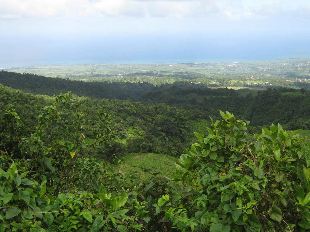 Montagne Pelée-Arrondissement of Saint-Pierre必去景点
