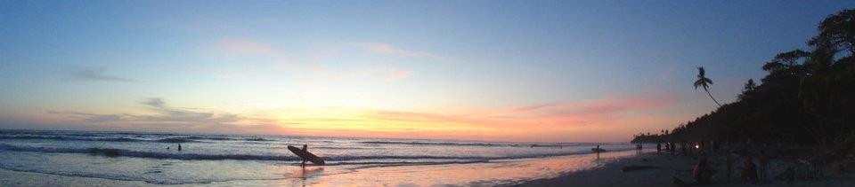 Young Vision Surf School景点图片
