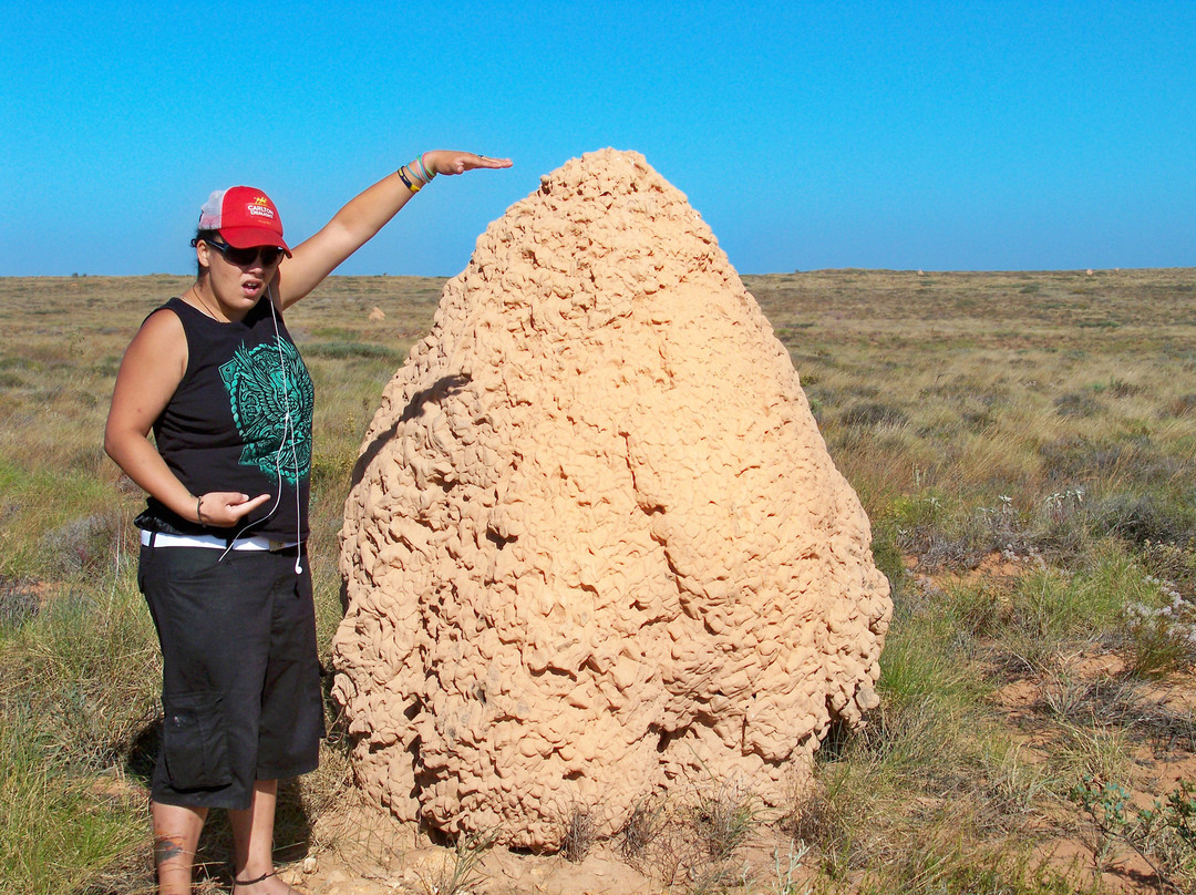 Ningaloo Centre-埃克斯茅斯必去景点
