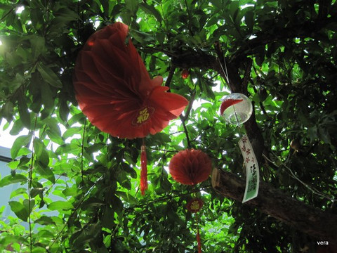 清风雅筑四合院客栈主图