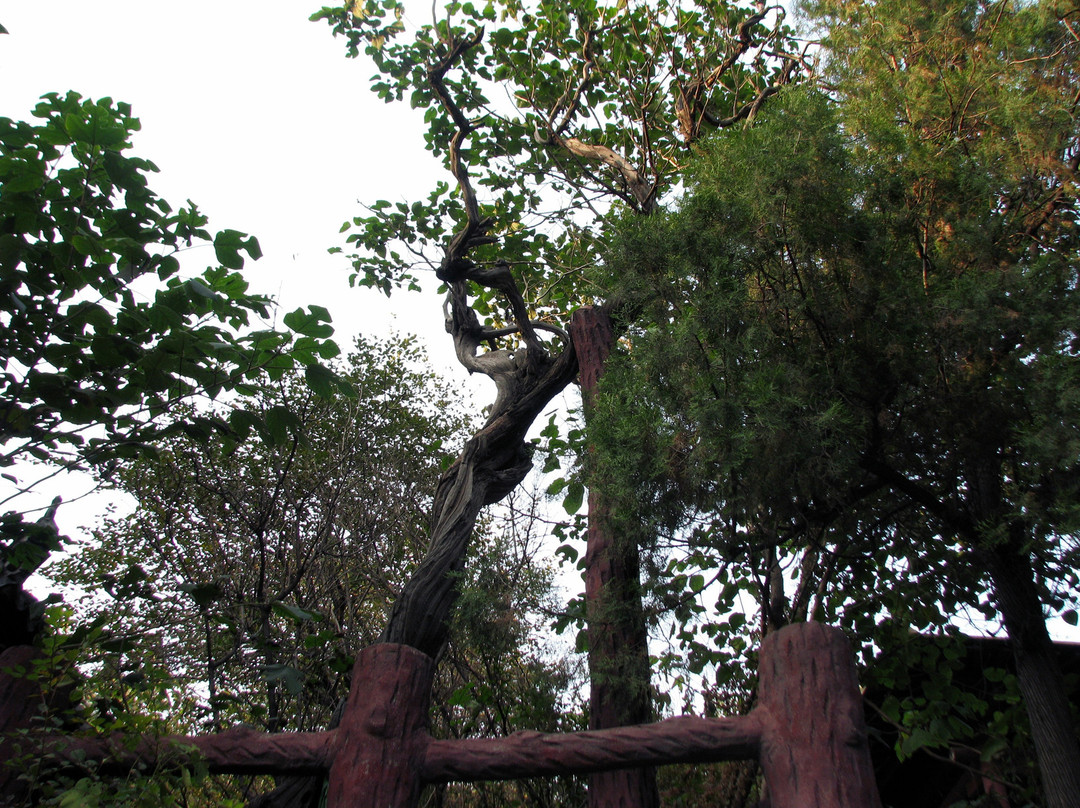 唐李庵-邹平县必去景点