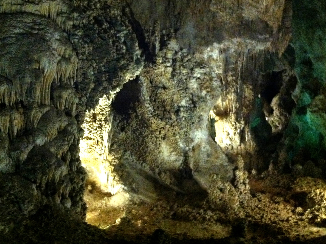 Big Room-卡尔斯巴德洞穴国家公园必去景点