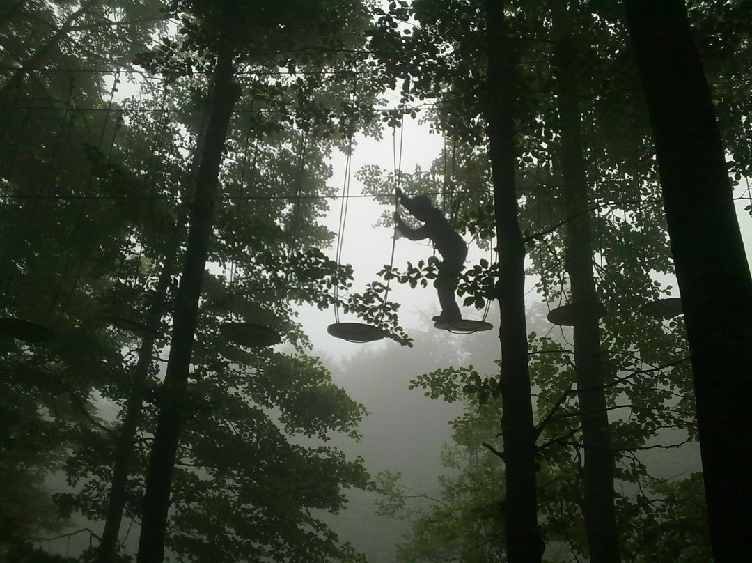 Rampy Park - Parco Acrobatico Forestale景点图片