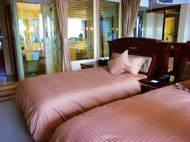 白金汉爵大酒店-客卧