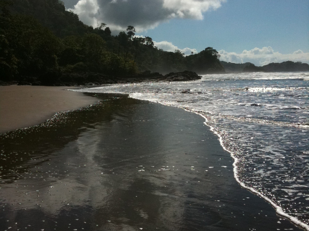 Costa Rica Surf Camp景点图片