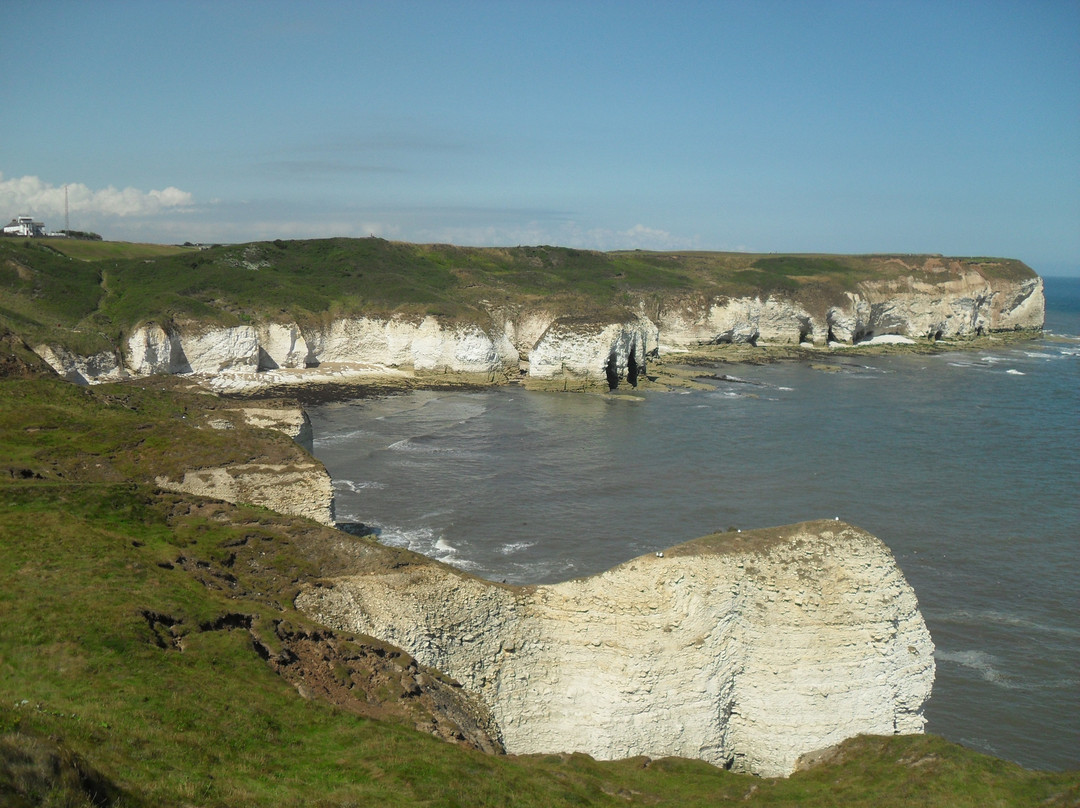 Rspb Bempton Cliffs景点图片