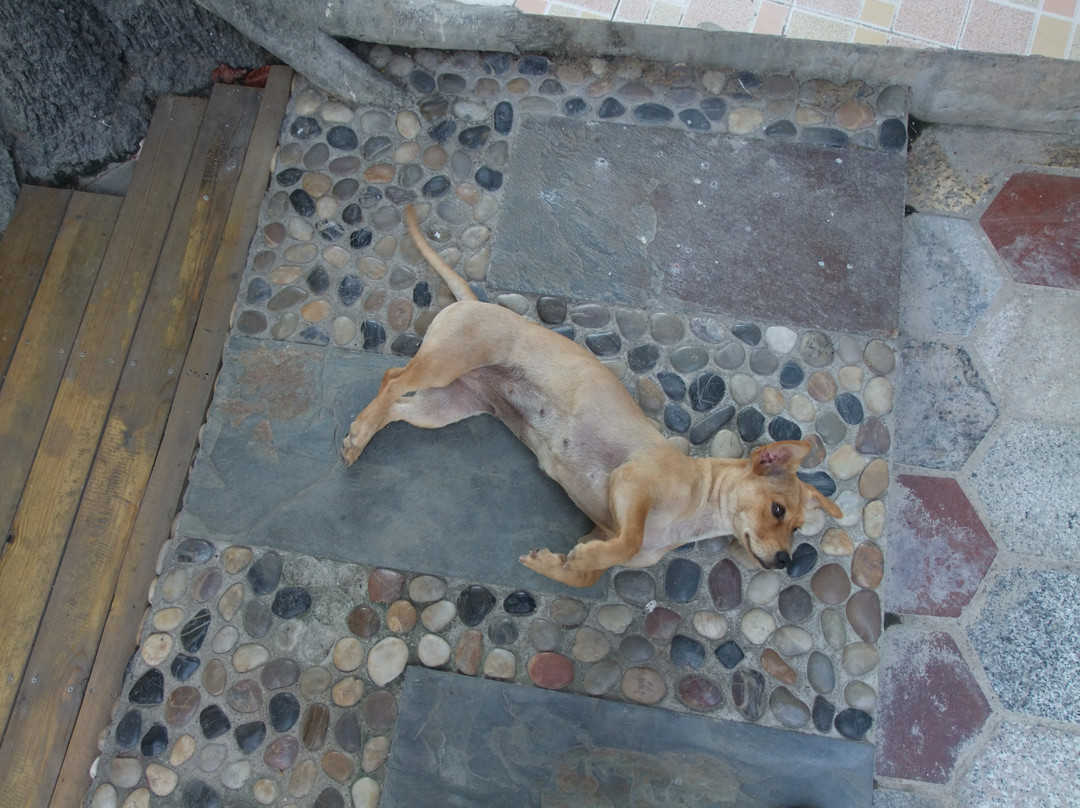 花田厝客栈主图