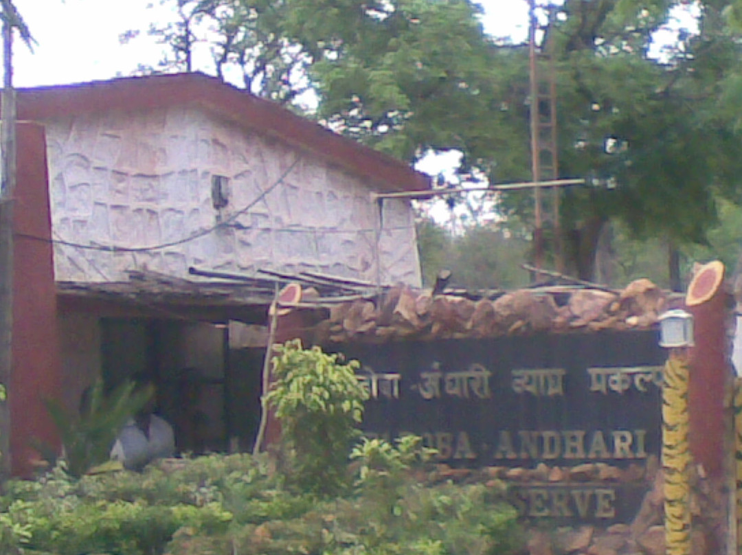 Tadoba Andhari National Park景点图片