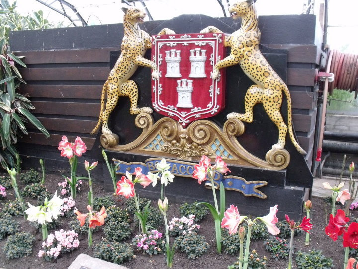 Duthie Park Winter Gardens-阿伯丁必去景点
