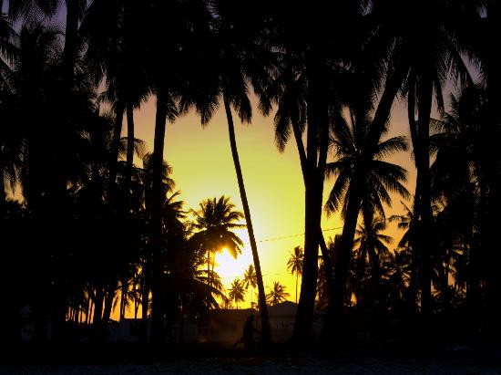 Jozani Chwaka Bay National Park-桑给巴尔岛必去景点