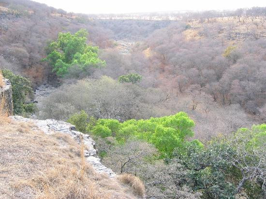 Ranthambore National Park景点图片