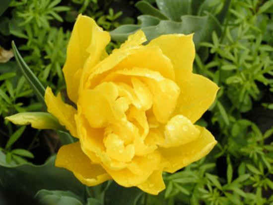 Shawnee State Park-朴茨茅斯必去景点