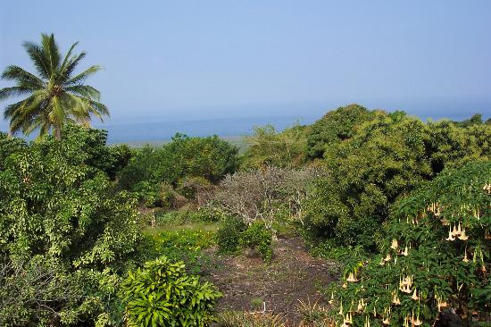 庇佑之所家庭式酒店主图