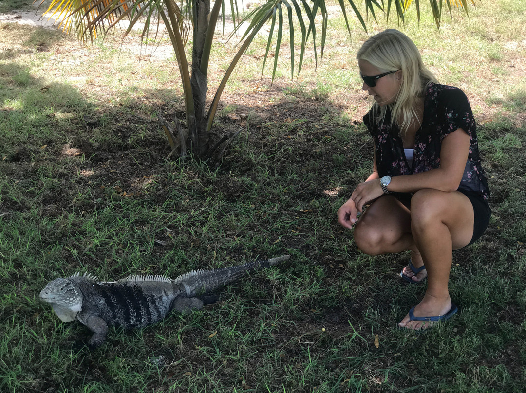 Little Cayman Museum景点图片