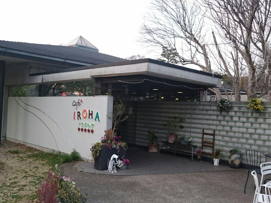 カフェ イロハ主图