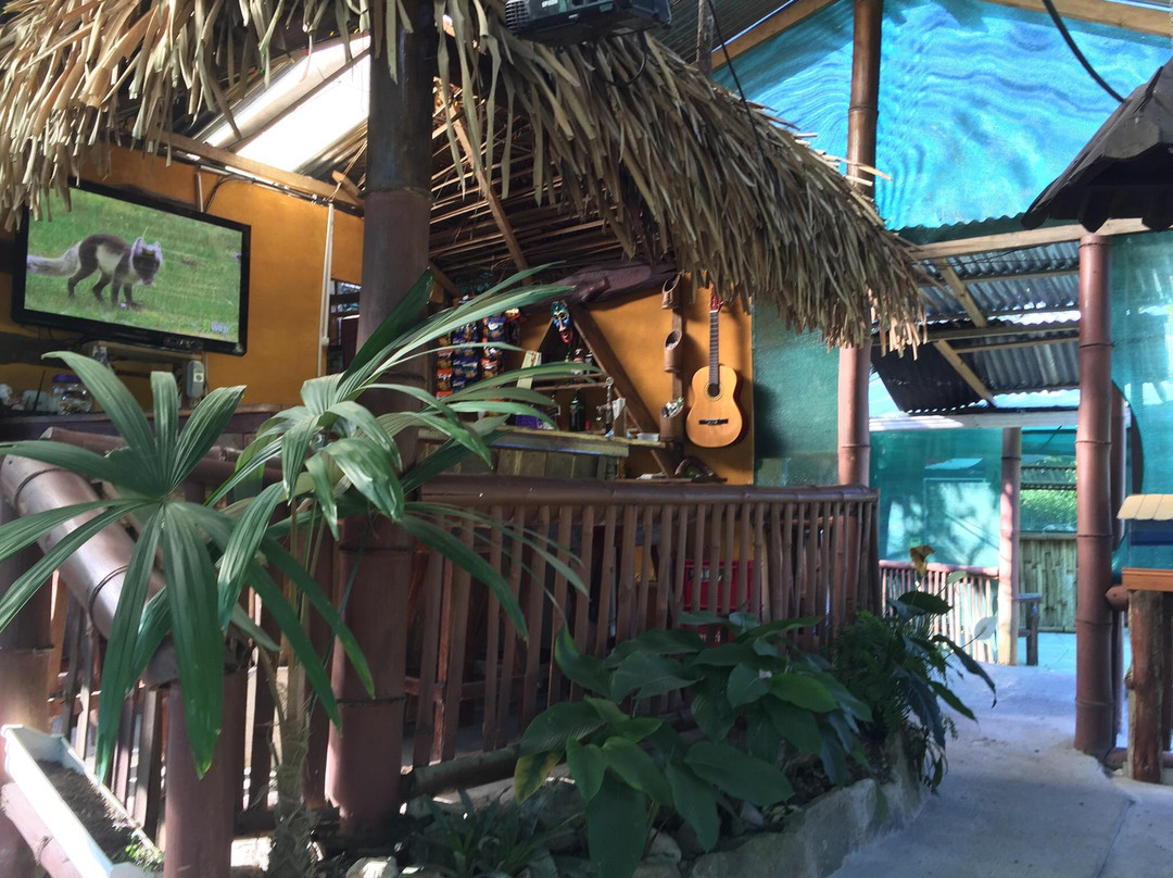 Cabanas Campo 3