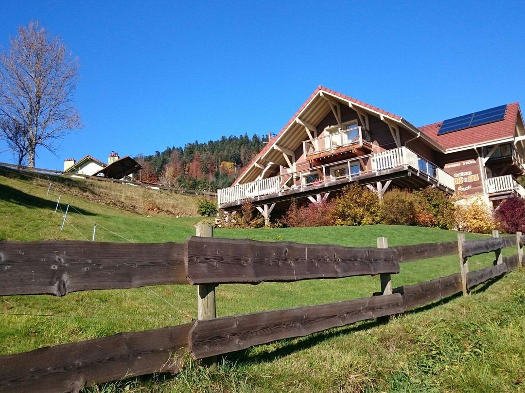 Gerbepal旅游攻略图片