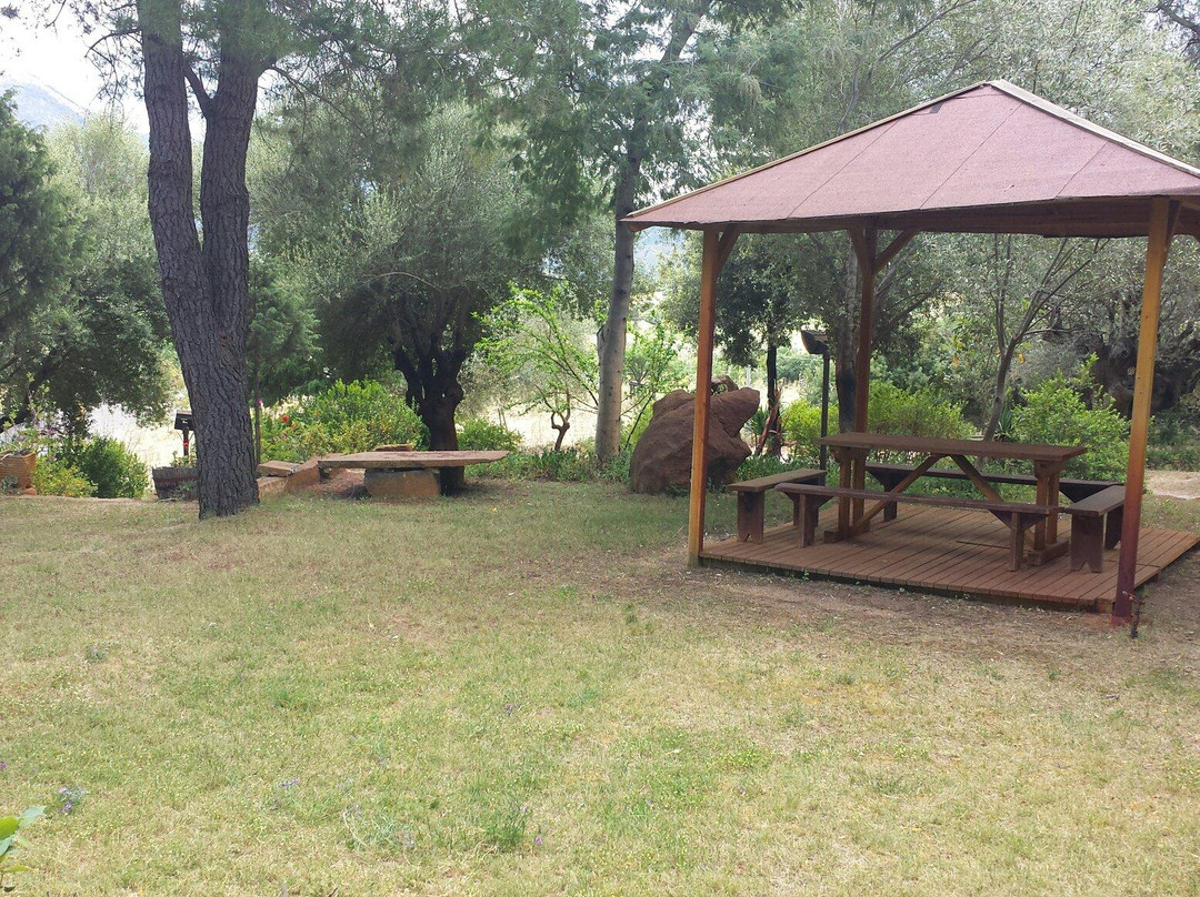 Ottana餐馆和美食-Agriturismo Su Pinnettu