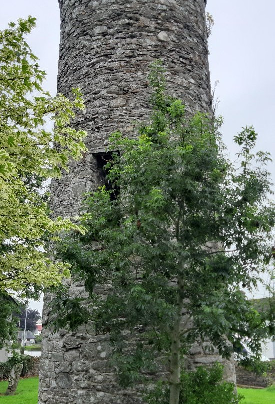 St. Daig's Monastery And Round Tower景点图片