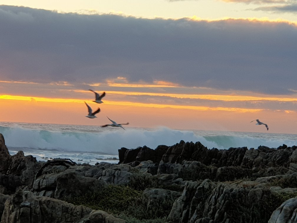 Sandbaai Bed & Breakfast主图