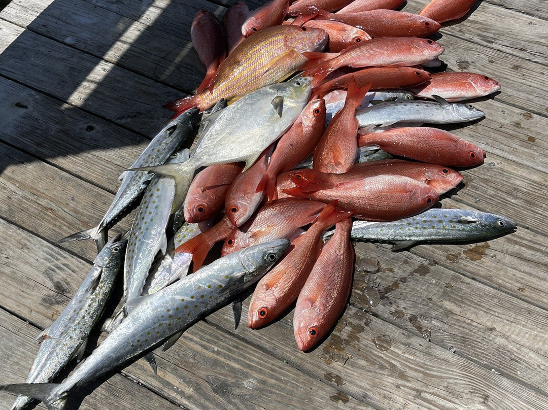 Intracoastal Experience - Destin Fishing Charter-德斯廷必去景点