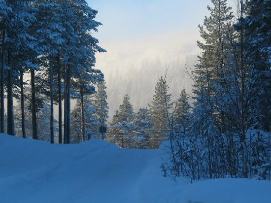 Pyhä Ski Resort-Pelkosenniemi必去景点