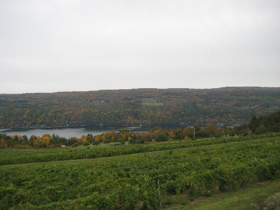 Bully Hill Vineyards Winery景点图片