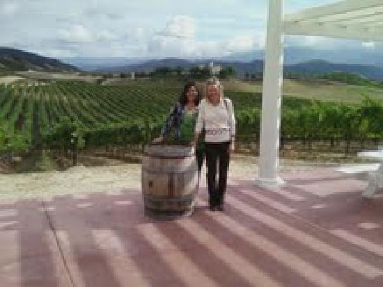Leoness Cellars-特曼库拉必去景点