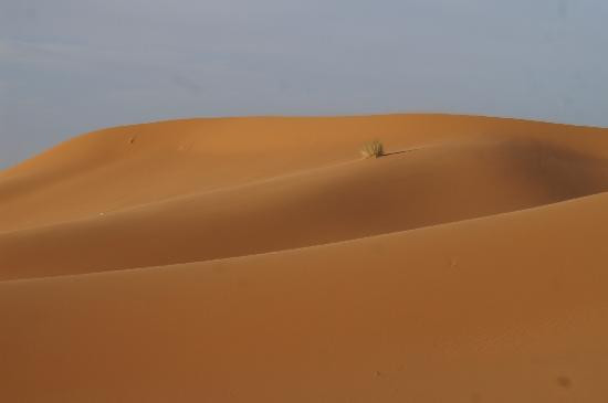 Erg Chebbi Dunes-梅克内斯-塔菲拉勒特区必去景点